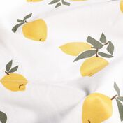 Jersey coton